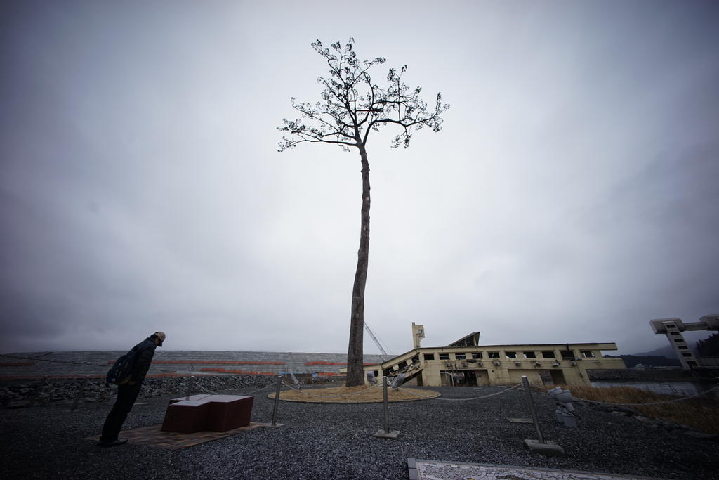 Un immagine d archivio dell albero di pino sopravvissuto allo tsunami del 2011 a Minamisoma, Fukushima