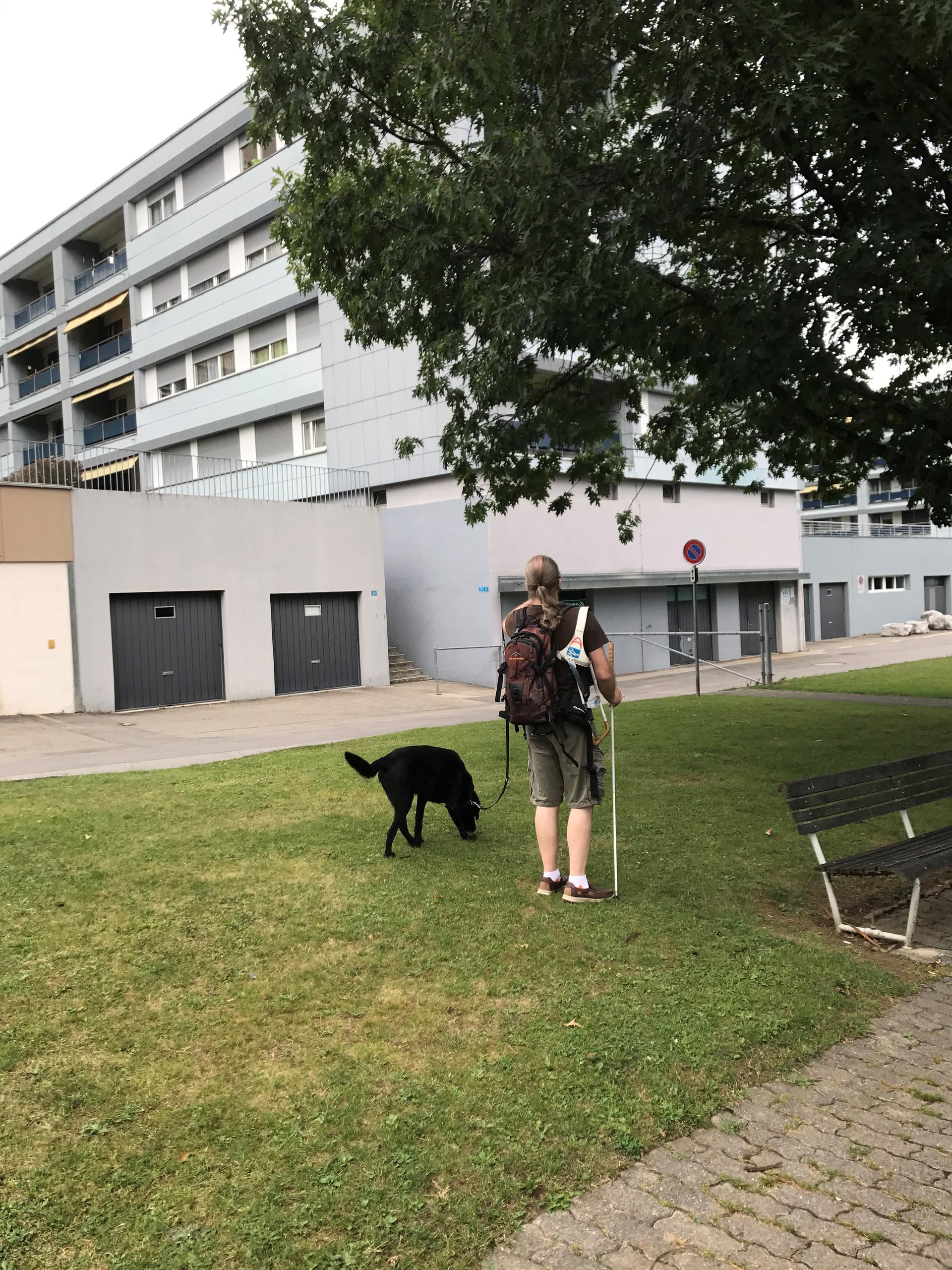 那位盲人先生和他的导盲犬