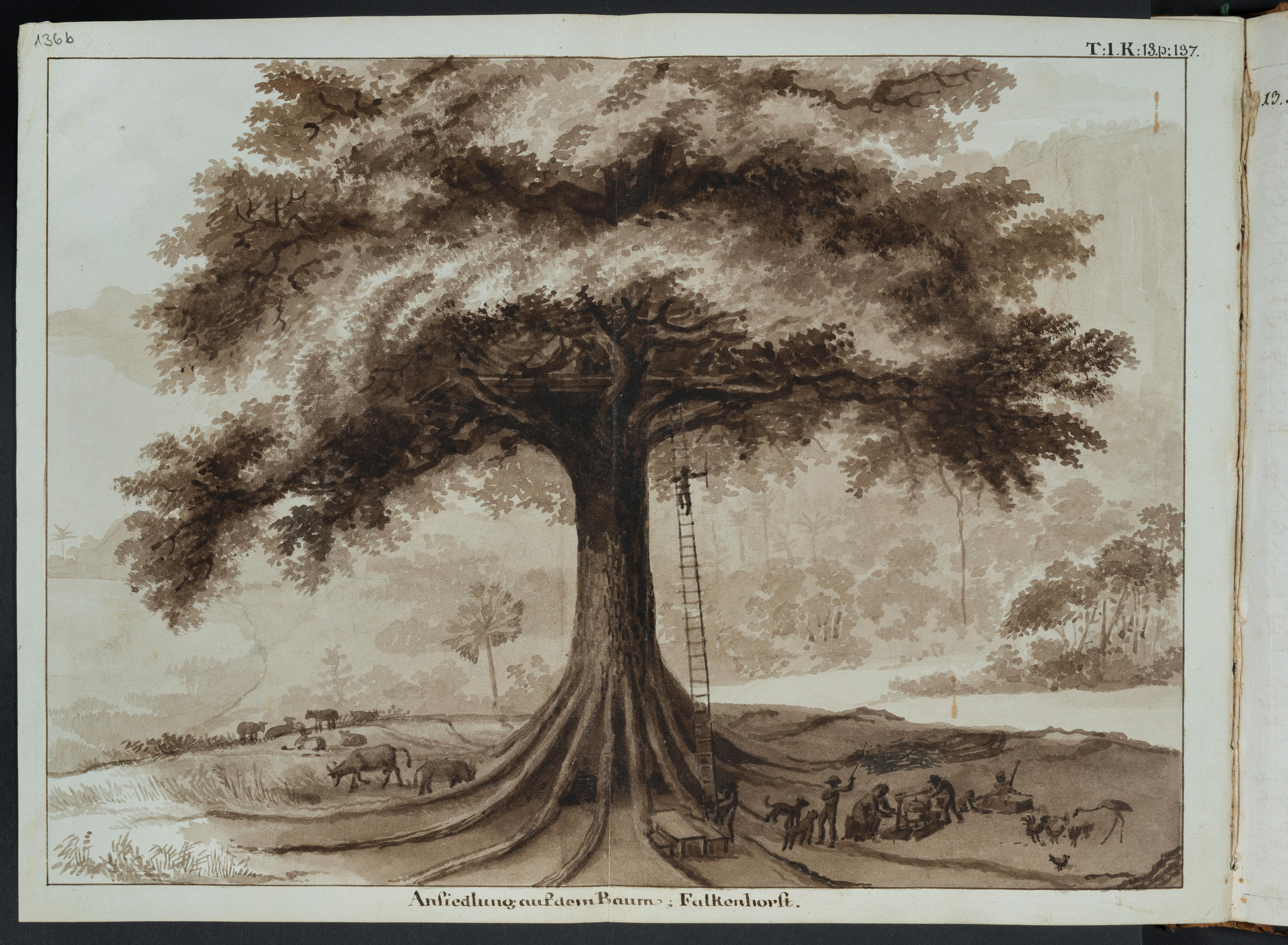 Building a treehouse, an illustration from the original manuscript
