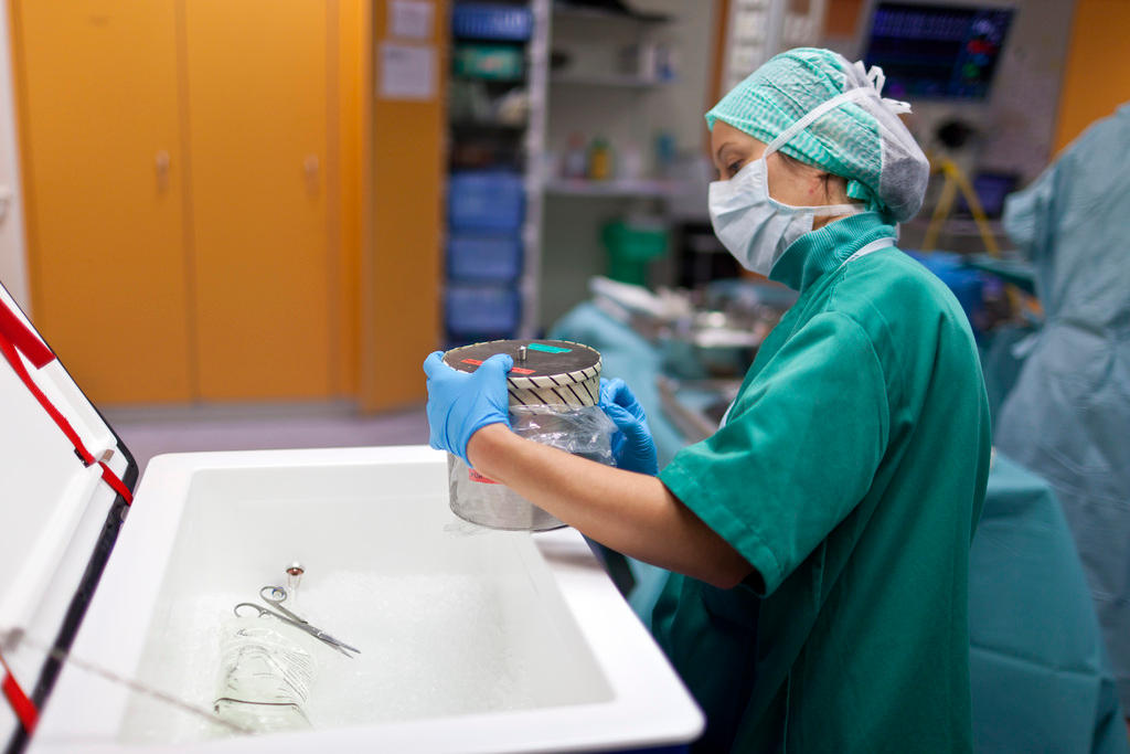 A nurse holds a special container for transporting organs to be transplanted.