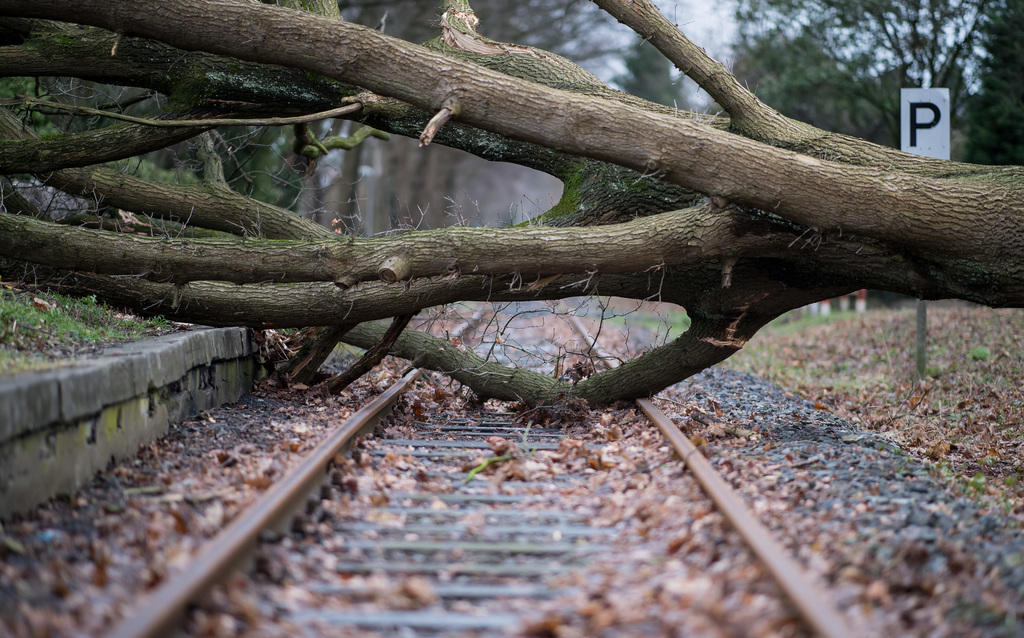 L uragano ha paralizzato il traffico ferroviario tra Olanda, Belgio e Germania. Anche in Svizzera diverse tratte chiuse