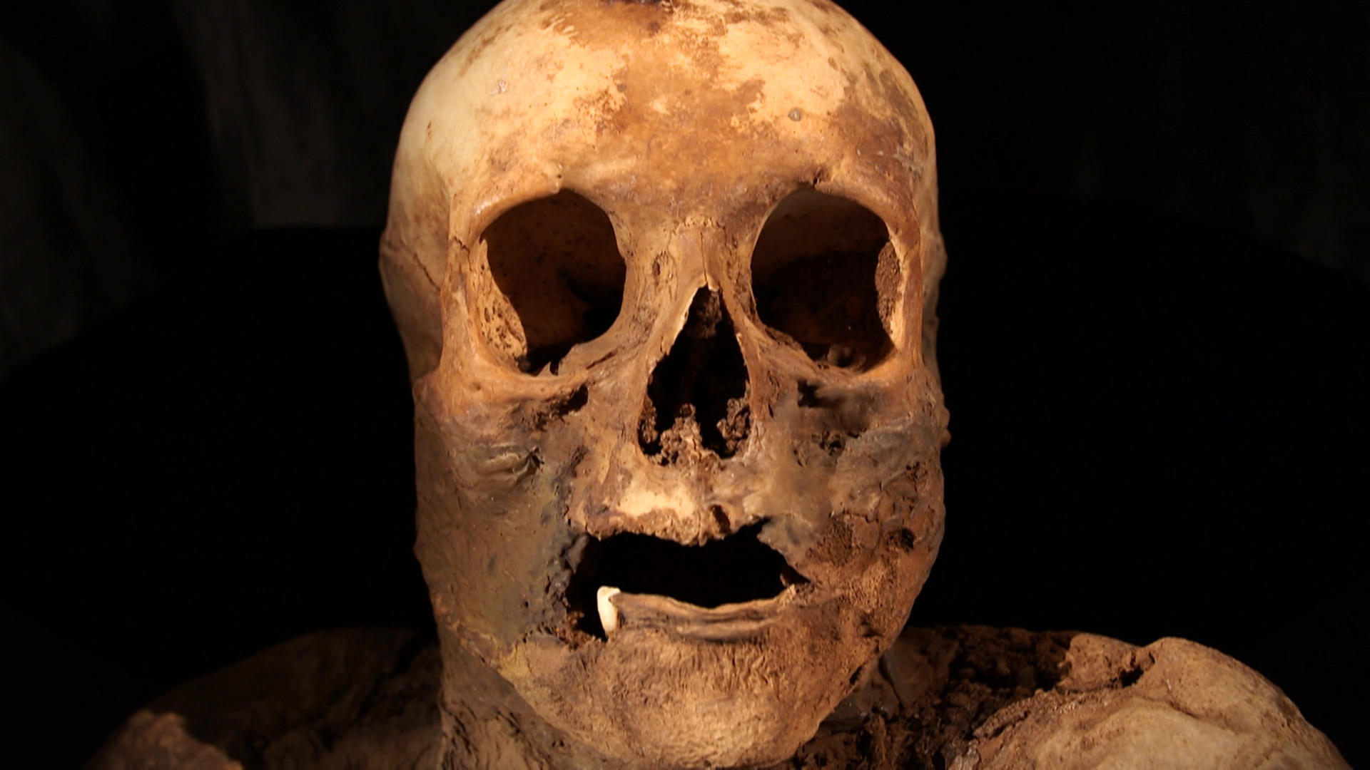 Head of mummy from Basel