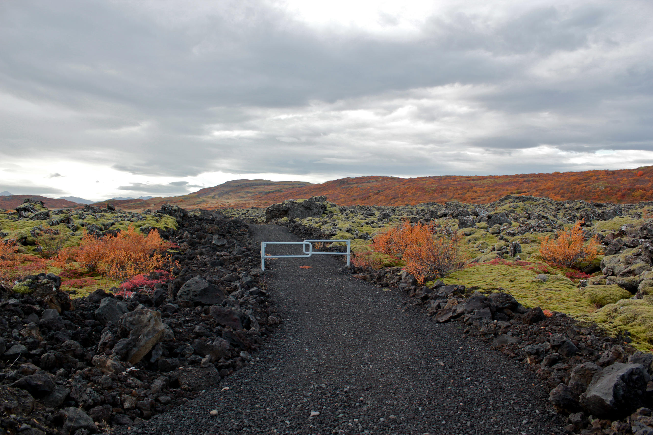 Landscape in Iceland with a path and a gate