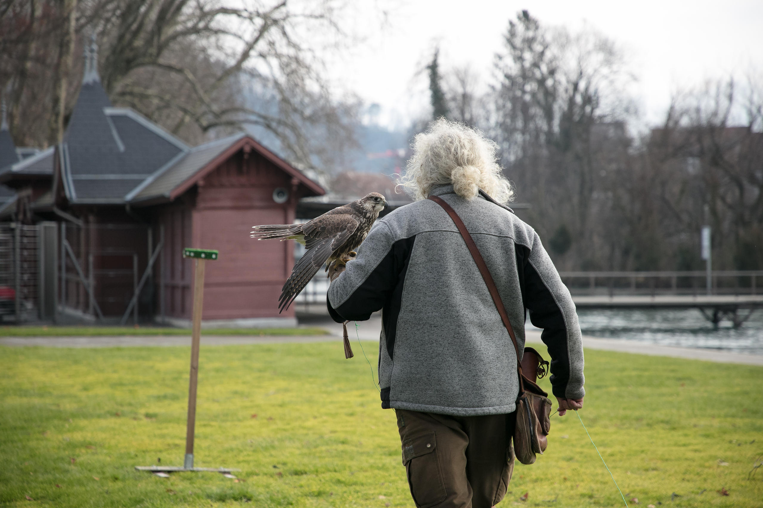 Ulrich Lüthi walks with his bird Berta.