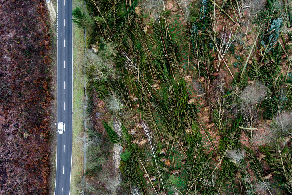 Aerial view of Burglind storm damage in forest