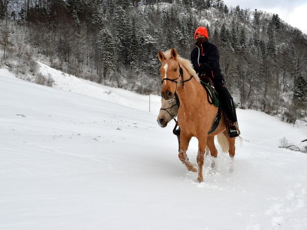 Лаувиль (Lauwil), кантон Базель-сельский (Basel-Landschaft). Верховая езда зимой