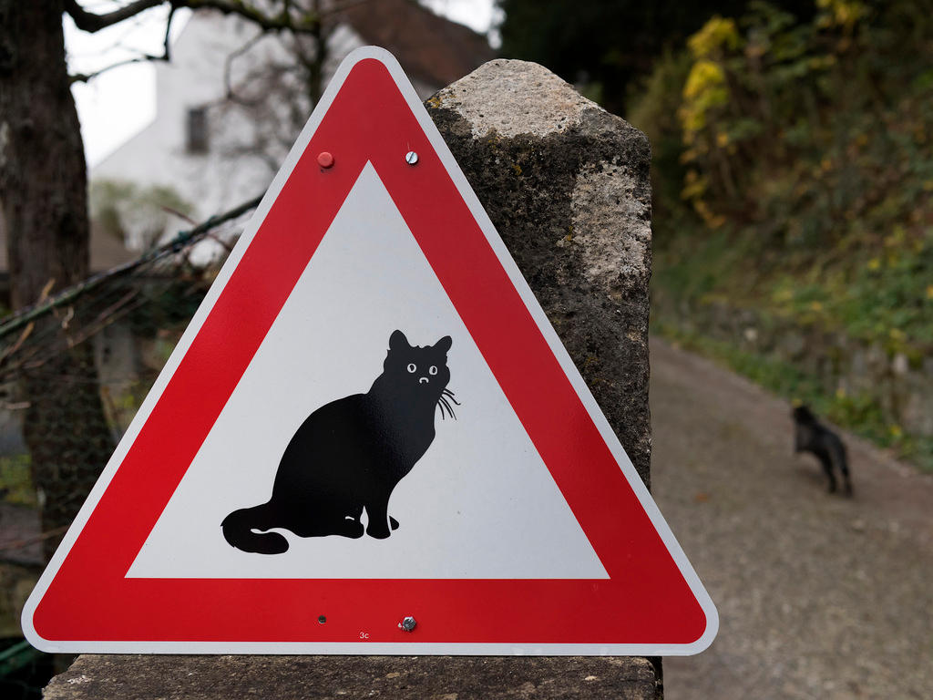 A fun sign warns of dangerous cats