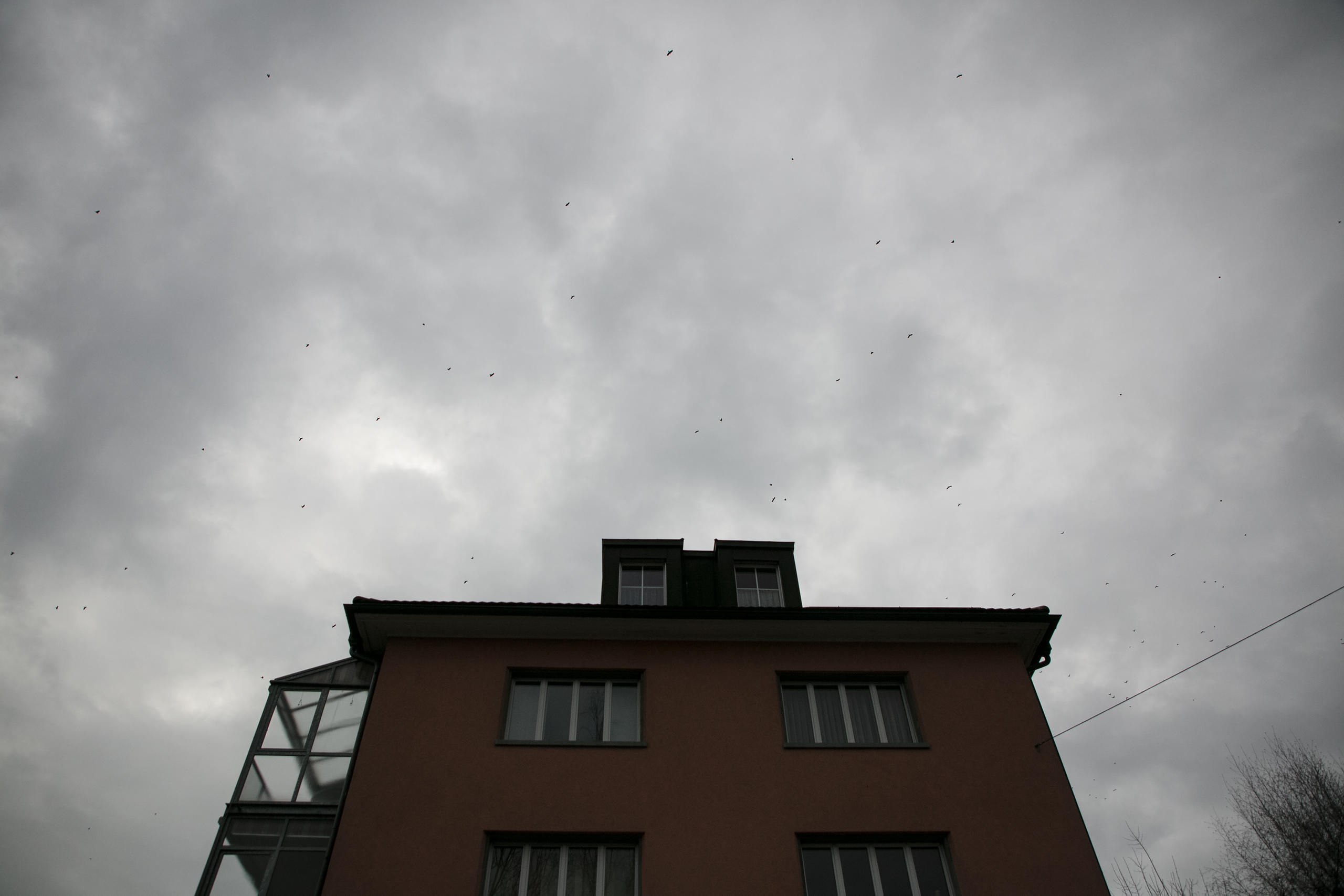 A house with rooks in the sky.