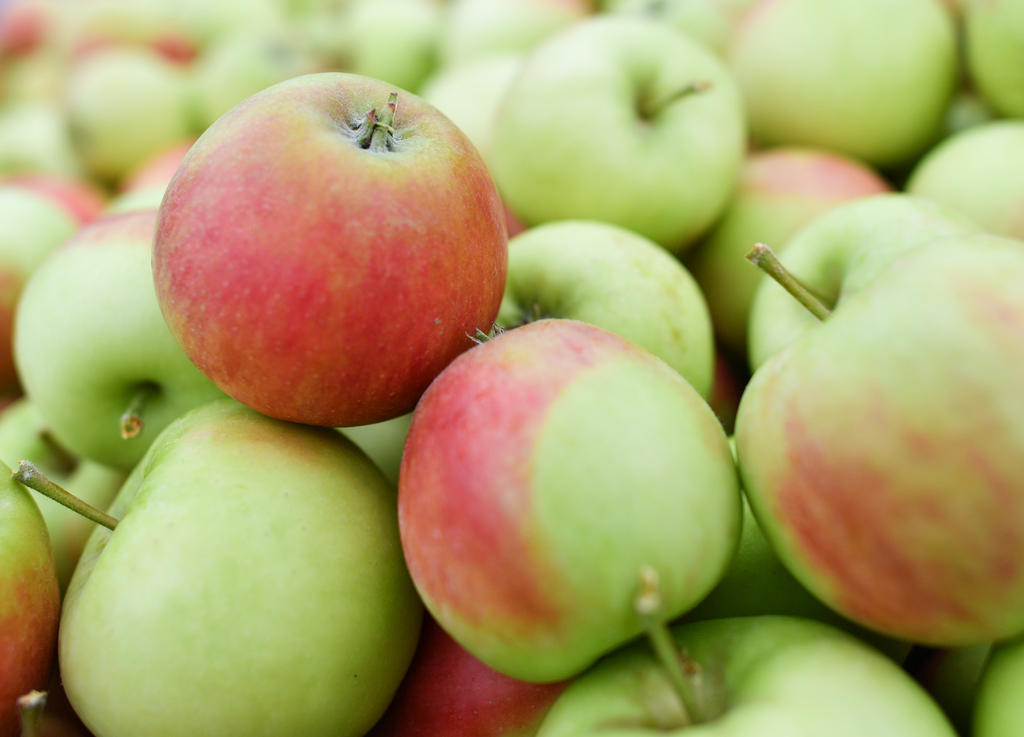 fresh green and red apples