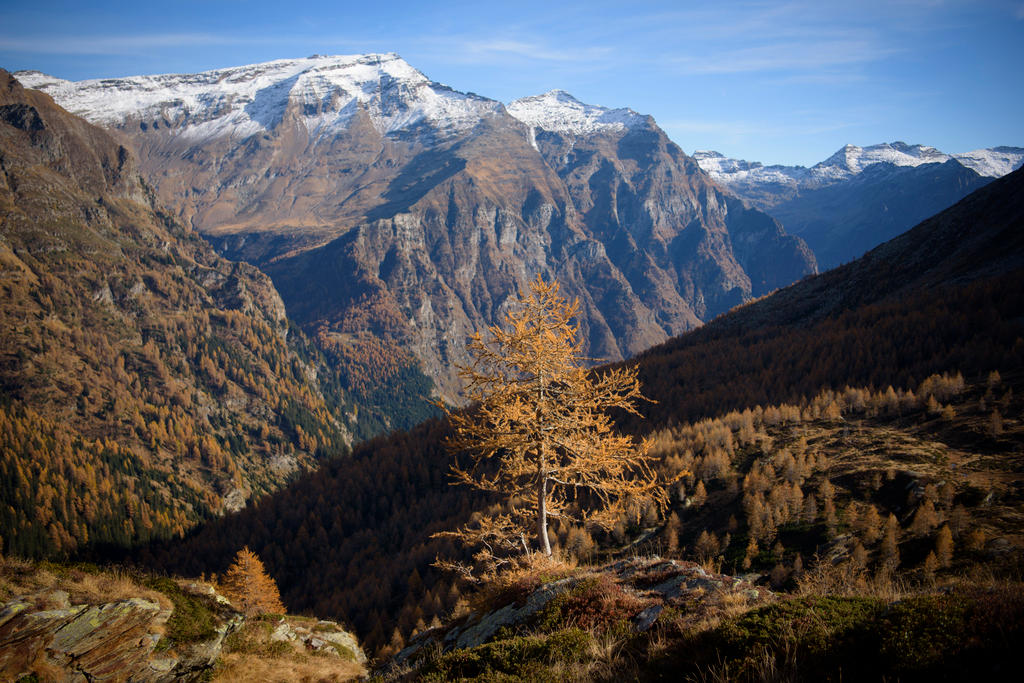 A picture of the Adula National Park in Switzerland