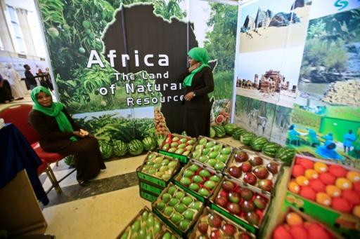 ONU advierte sobre aumento de la inseguridad alimentaria en África ...