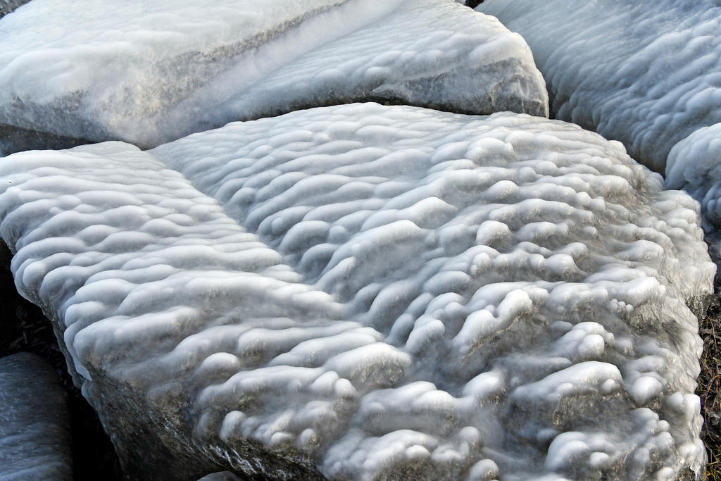 eisschicht über steinen und pflanzen am bodensee