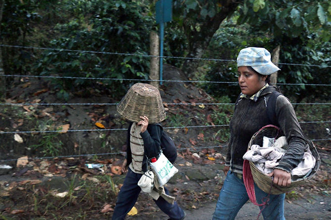 Trabajo infantil