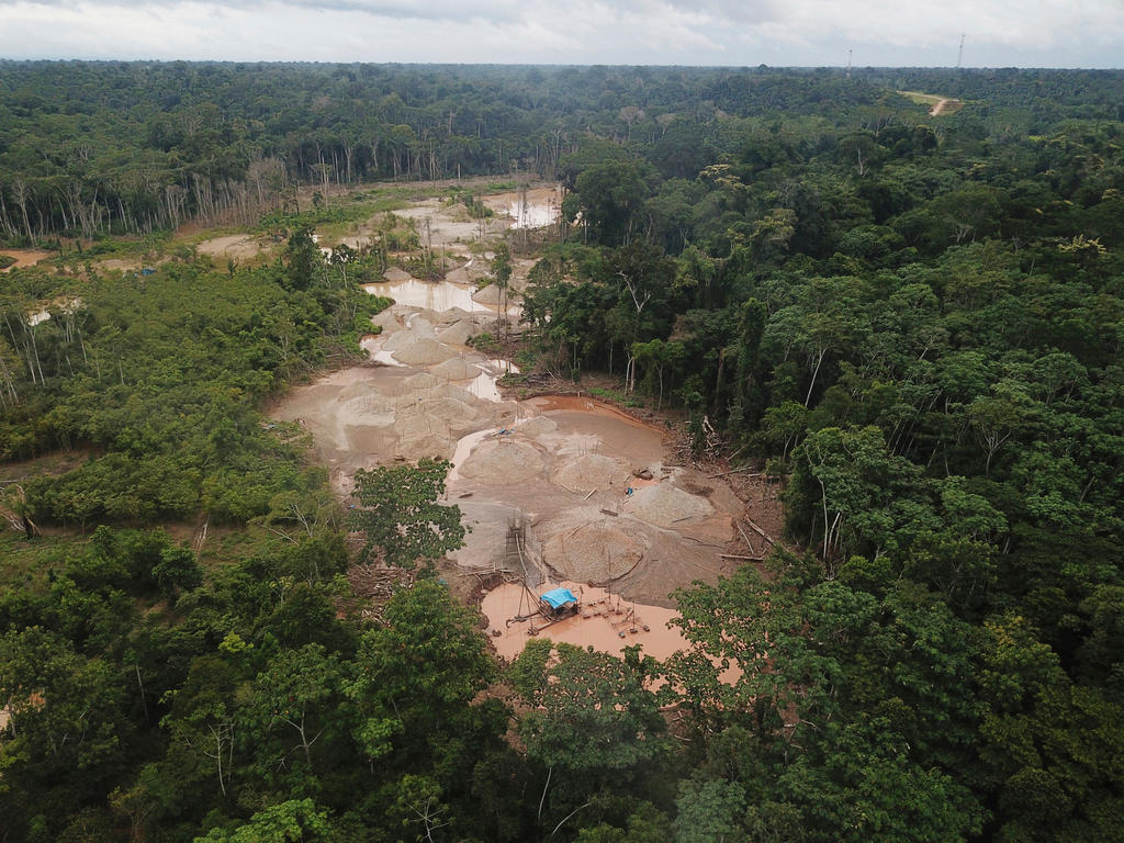 illegal mine in forest