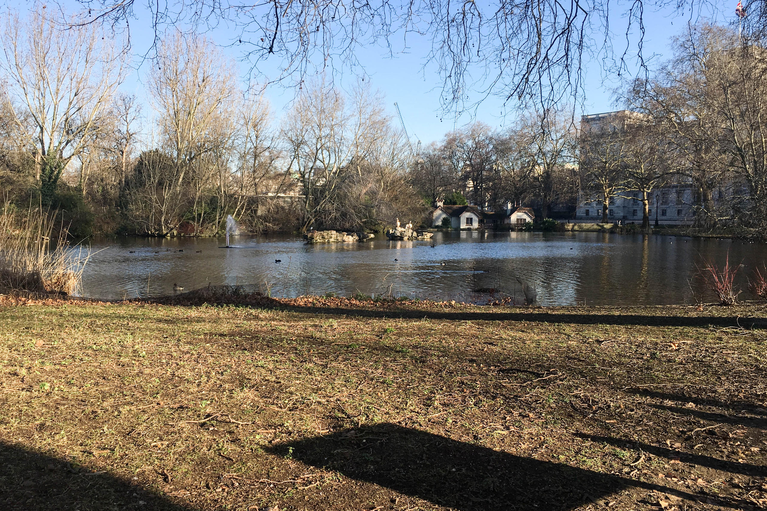 St James Park in London