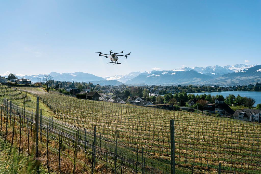 A large agricultural drone flies over a Swiss vineyard