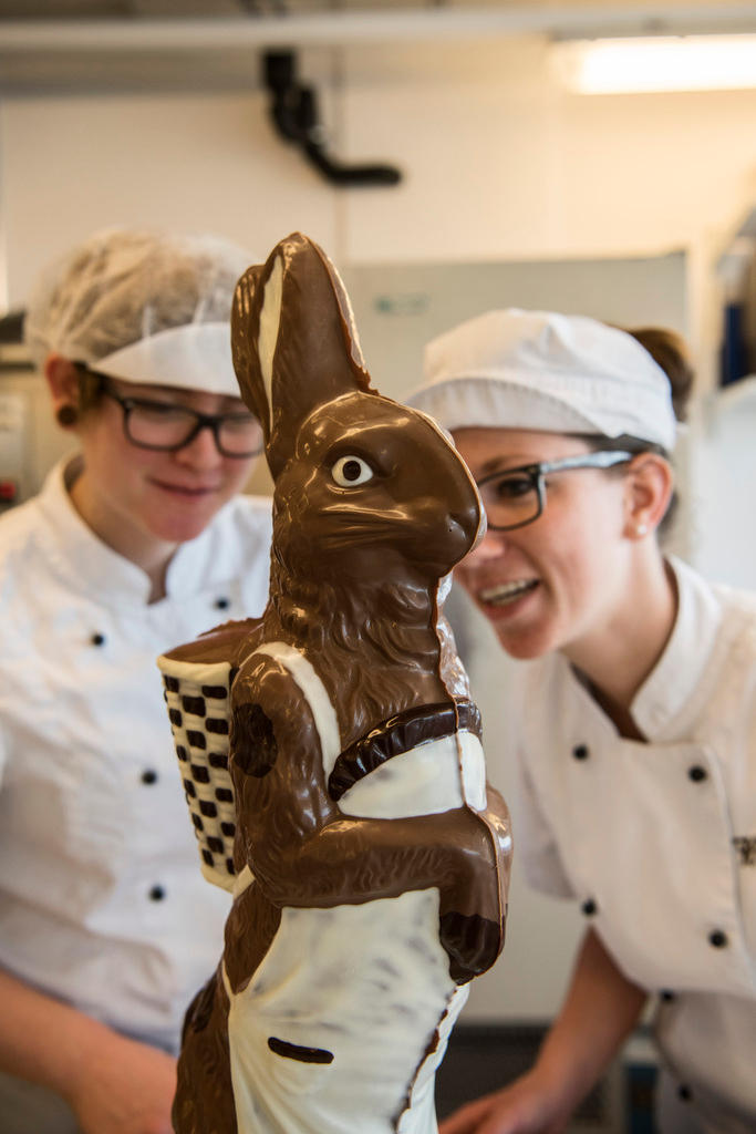 O trabalho final: um coelho de chocolate decorado.