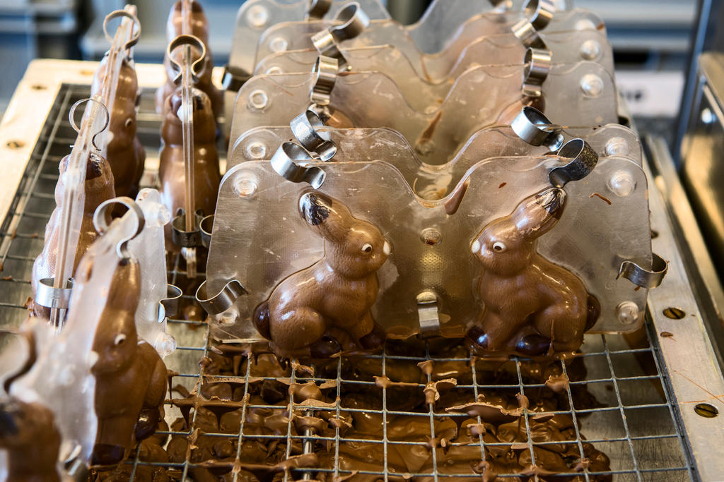 Os coelhos em chocolate são colocados em grades para resfriar.
