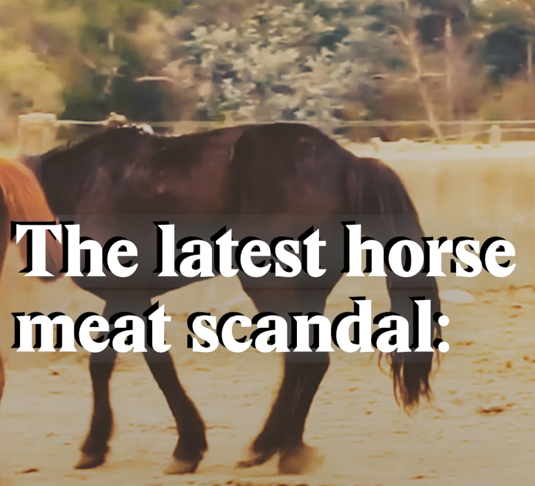 A cover image for a Nouvo video about a new horse meat scandal.