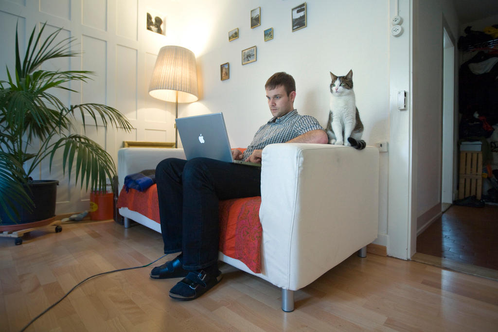 Homem sentado no sofá com o computador no colo e um gato ao lado