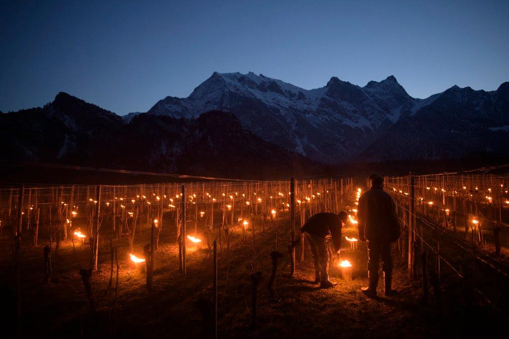 due persone accendono delle candele tra i vigneti