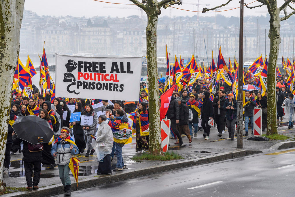 rally with flags