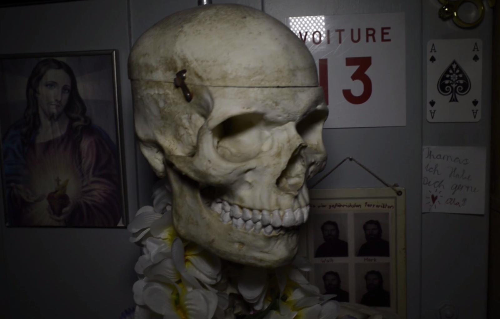 Skeleton