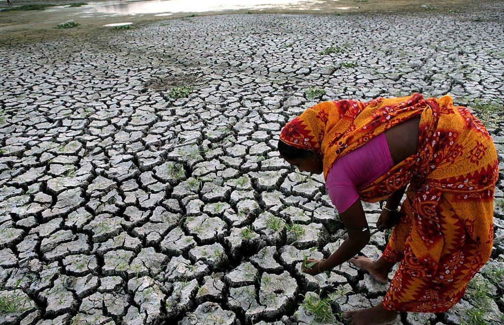 Indian woman in a barren field