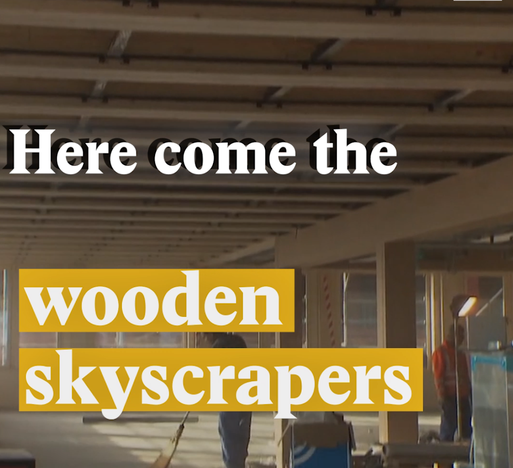 A cover image for a Nouvo video about a new Swiss trend: wooden skyscrapers.