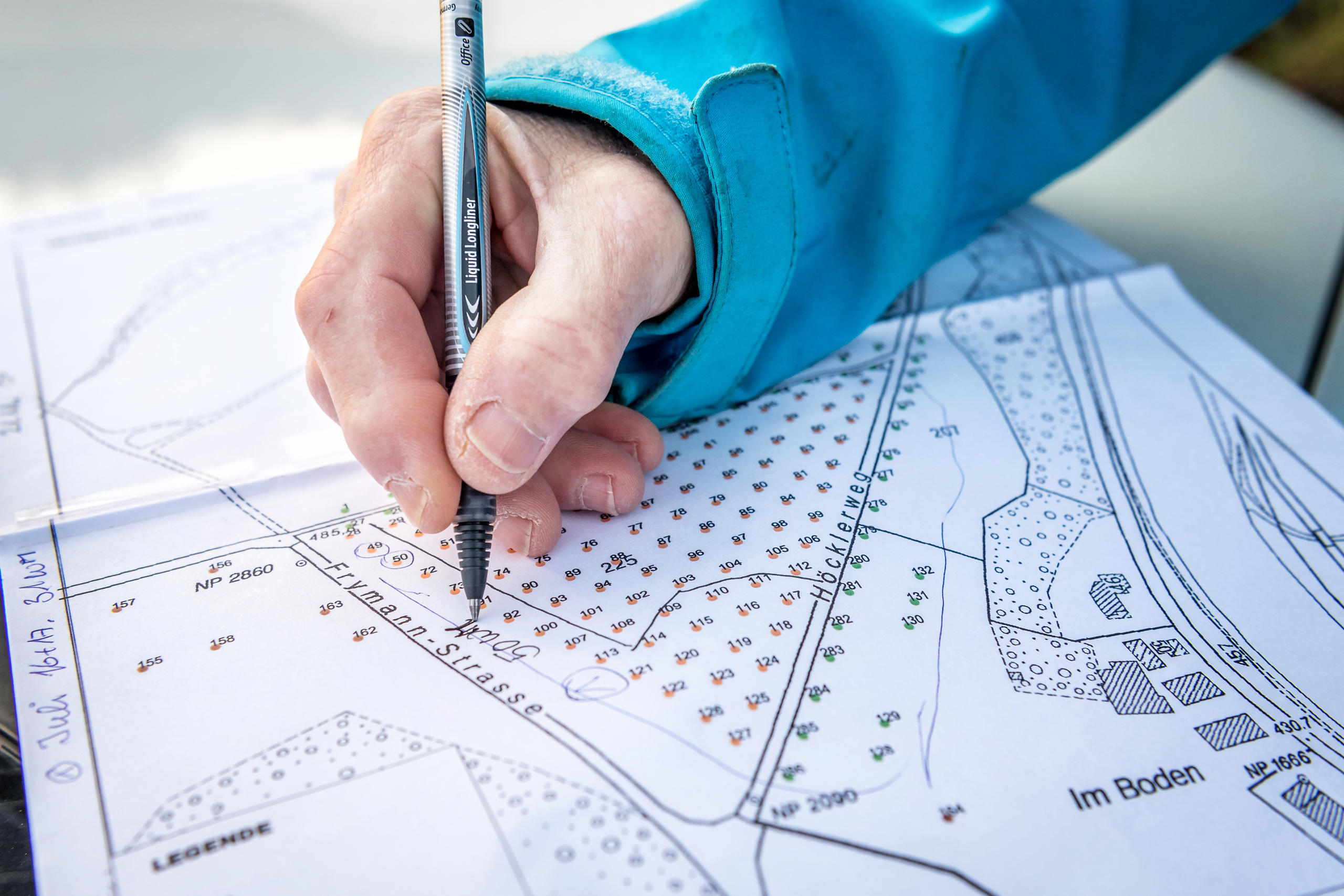 Plan der Wiese