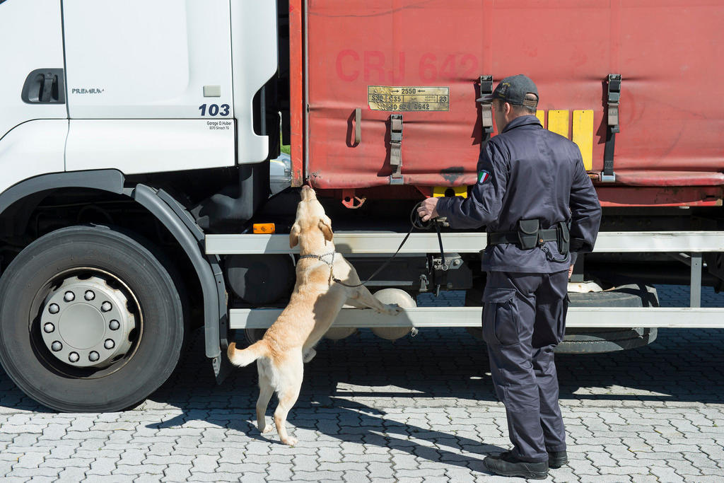 cane antidroga al guinzaglio di un doganiere annusa un camion