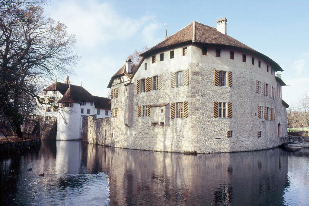 Facciata esterna di un castello, con attorno un fossato pieno d acqua e vegetazione ai margini