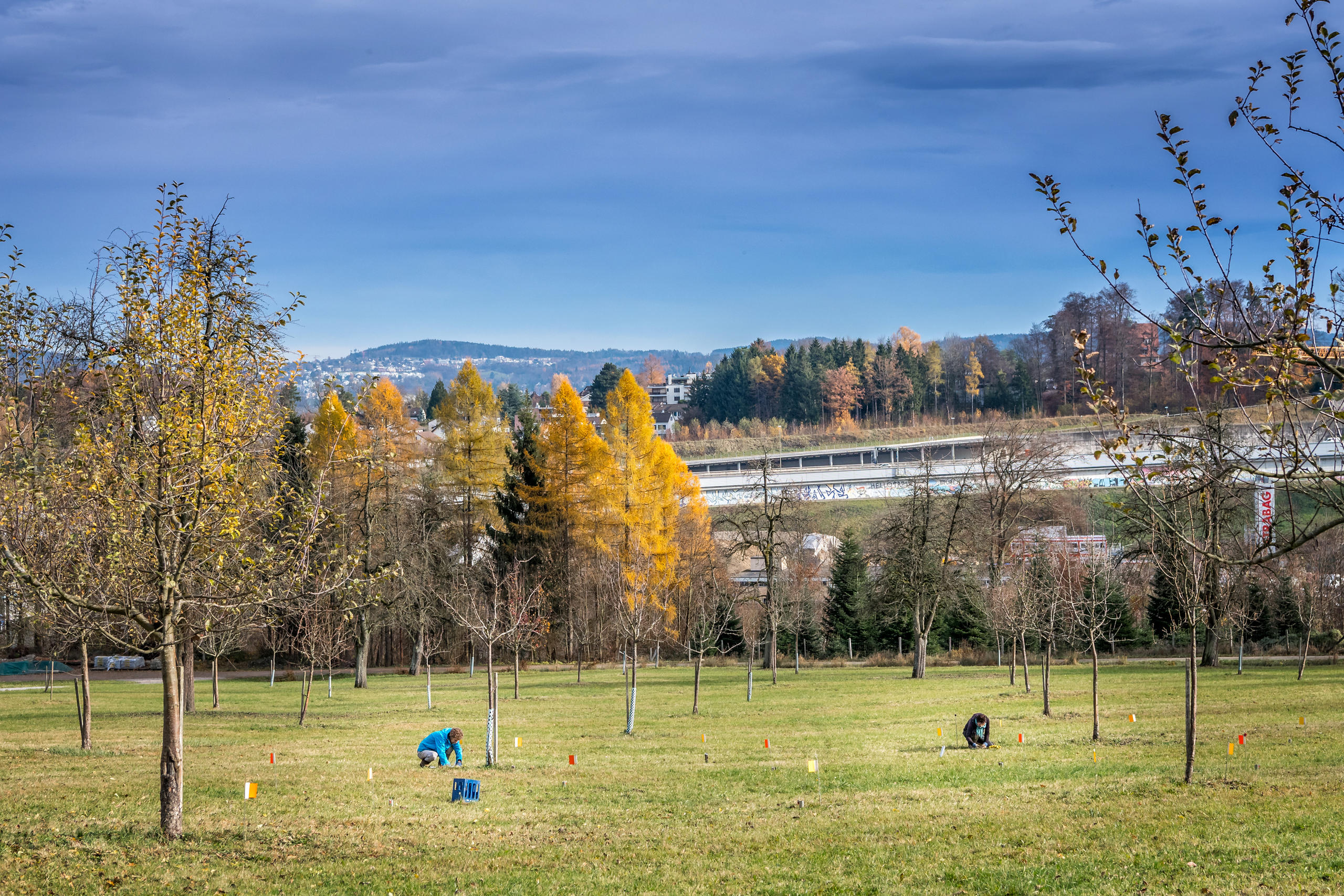 Grosses Feld, die Frauen am Mausen.