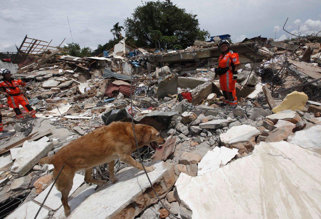 Maniobras de rescate, con un perro