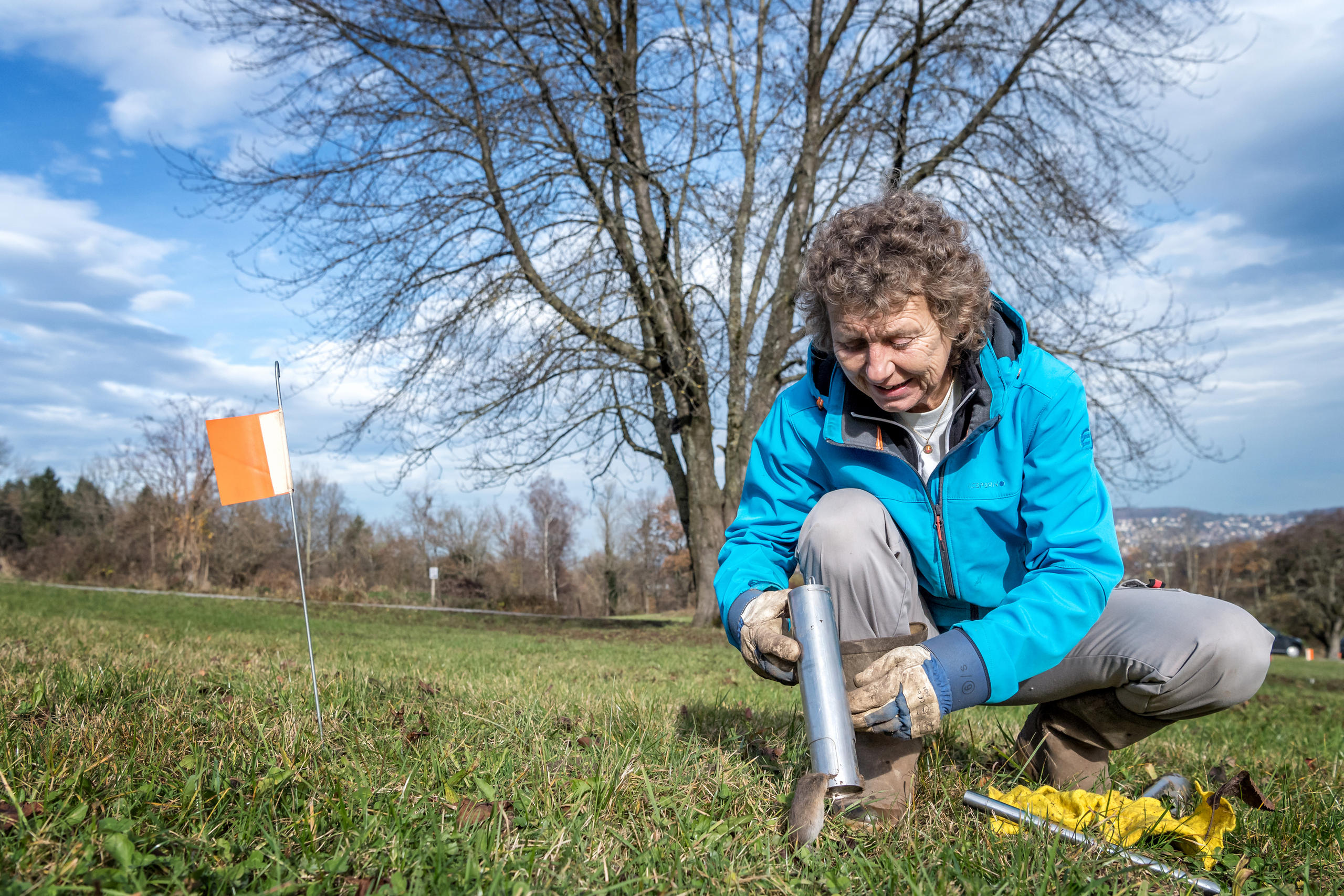 Hirsbrunner removes a mouse from a trap