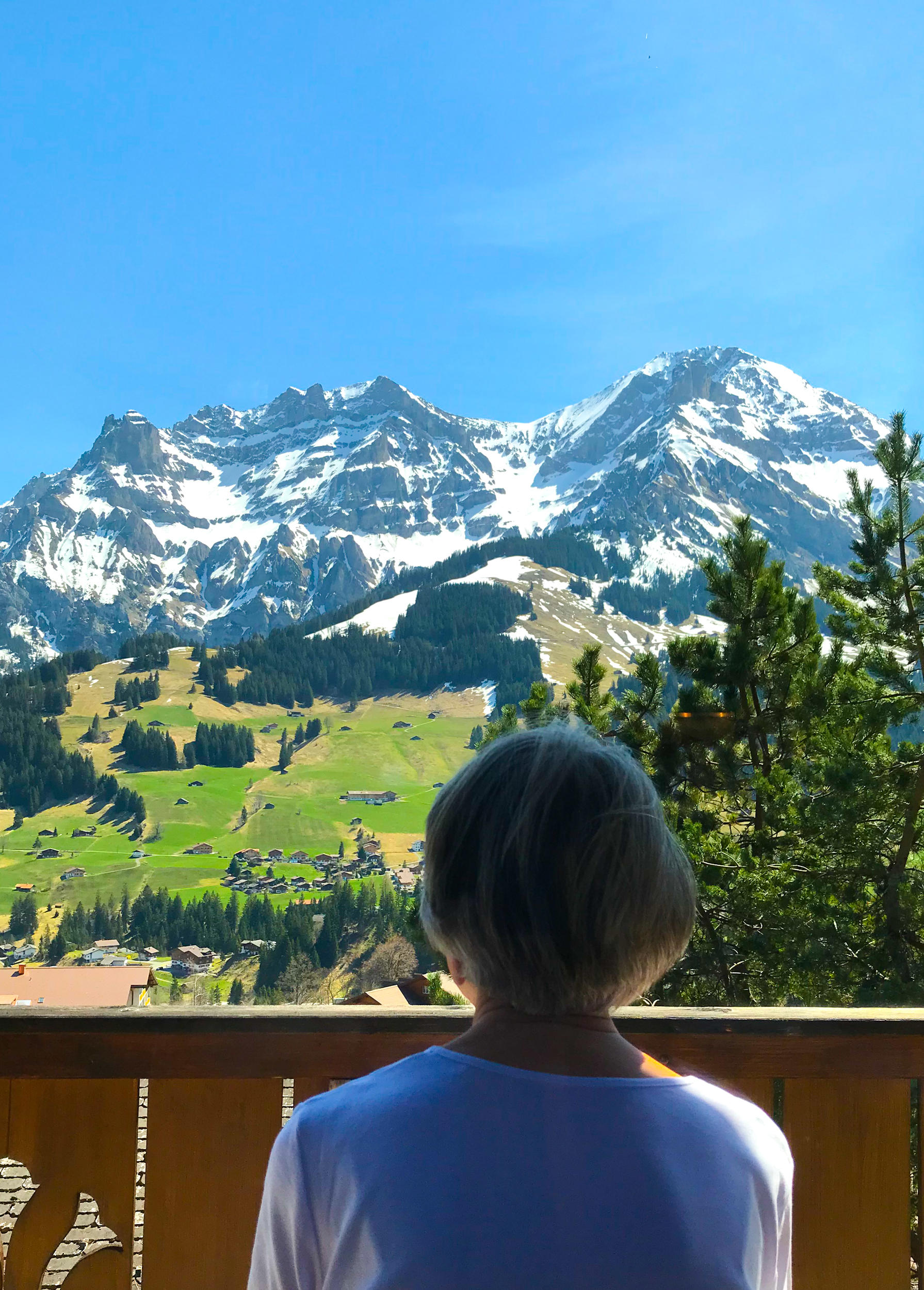 Lohner = Hausberg in Adelboden