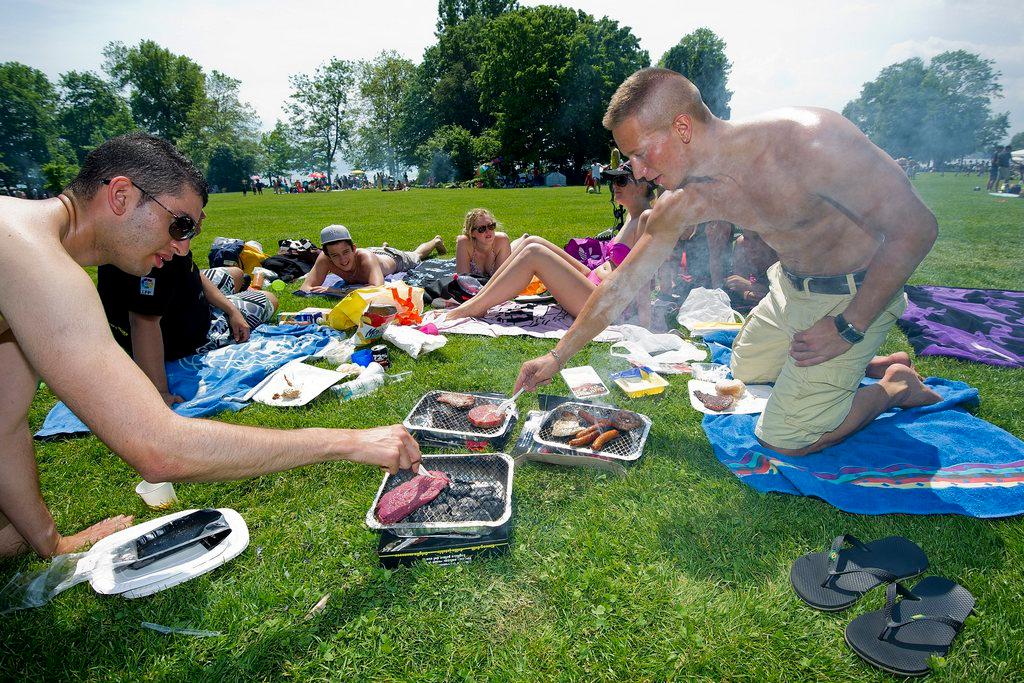 young people making a barbecue on grass