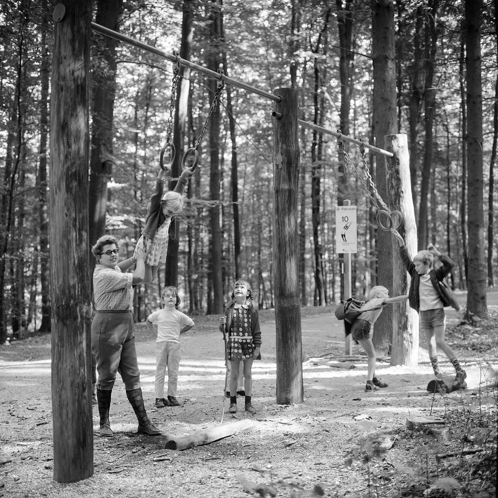 Un grupo de niños juega en instalaciones gimnãsticas en pleno bosque