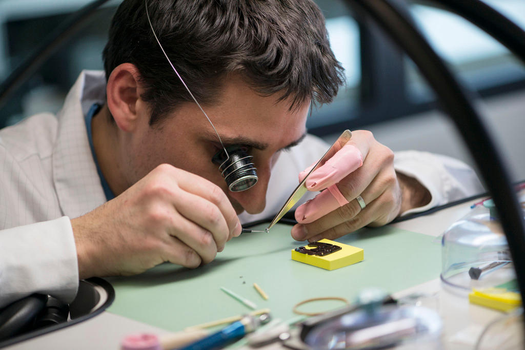 A Swiss watchmaker at work