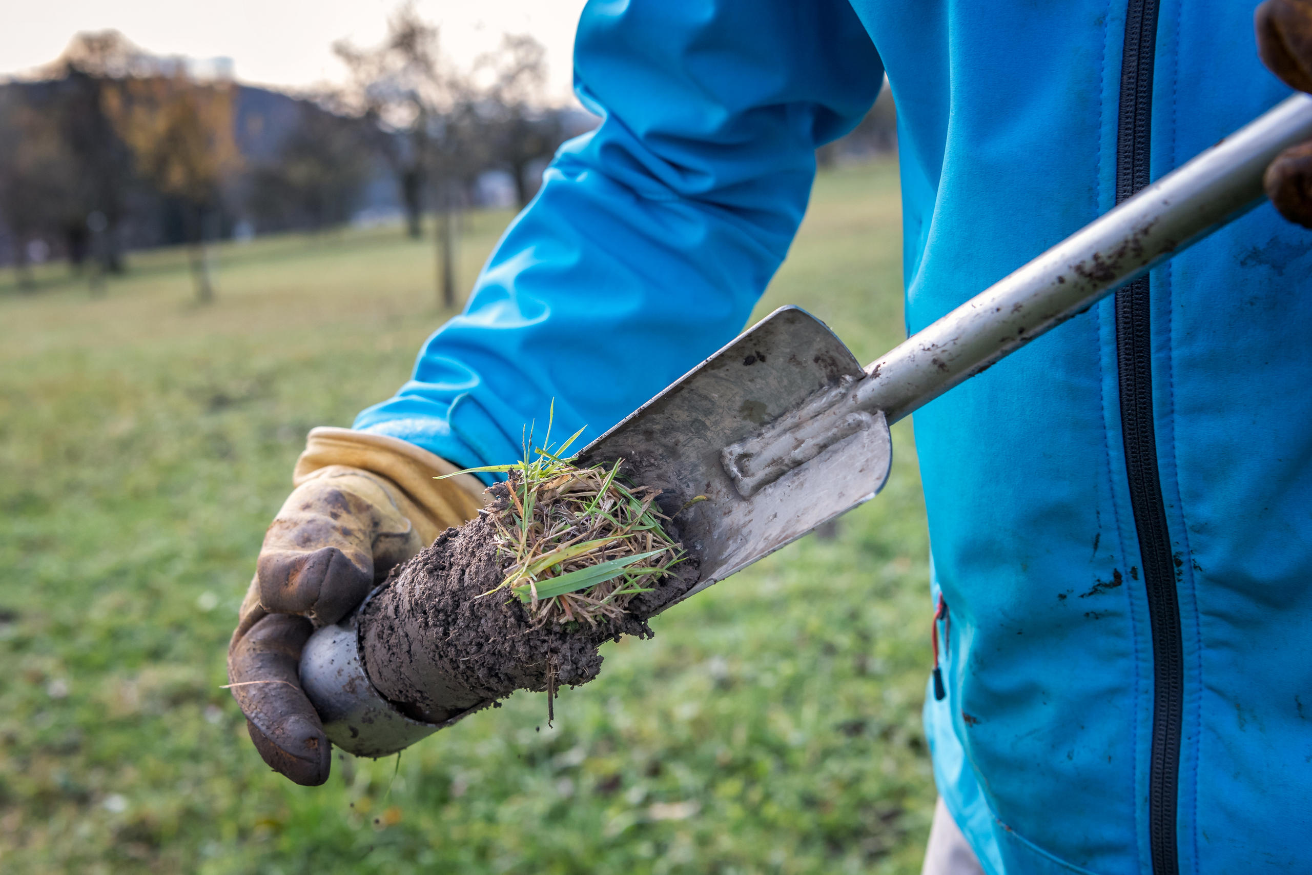 Close up of the shovel with earth