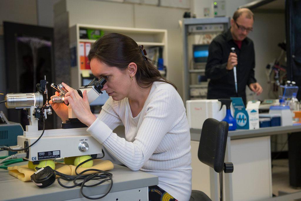 ricercatori in un laboratorio