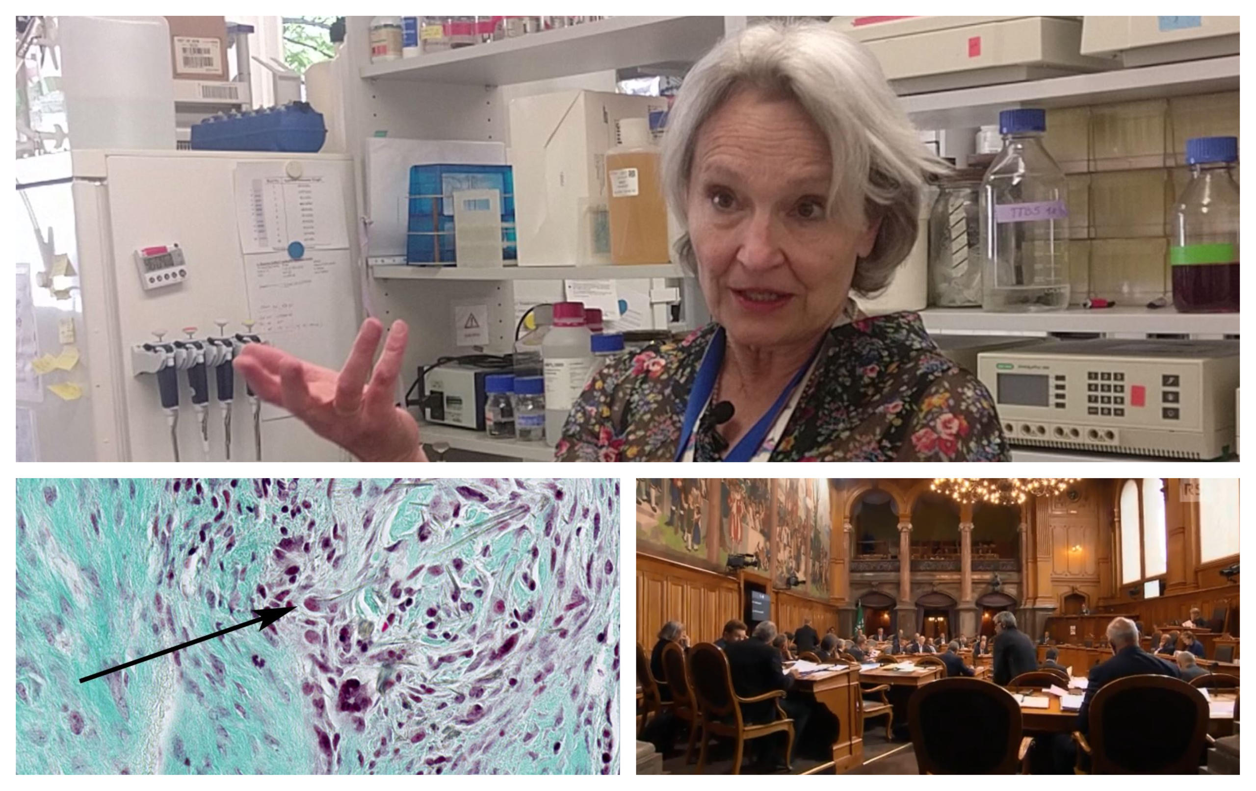 Collage: ricercatrice immagine al microscopia amianto, parlamento