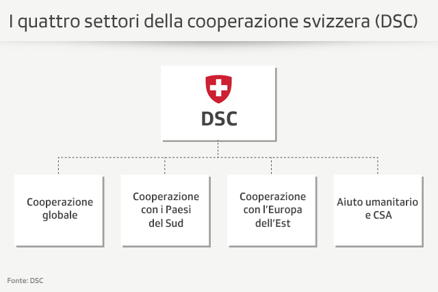 Organigramma DSC