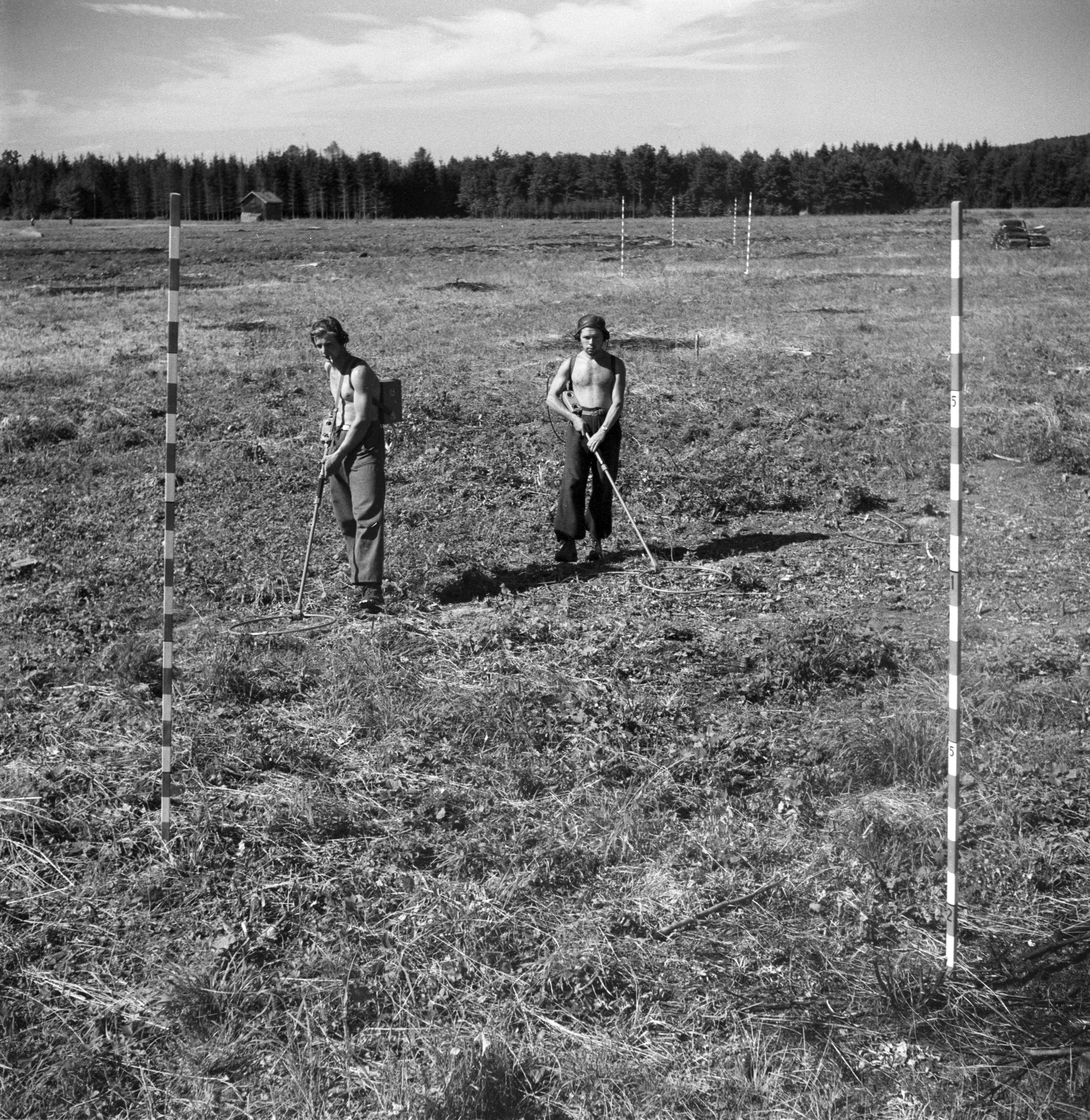 due uomini perlustrano un prato con dei metal detector