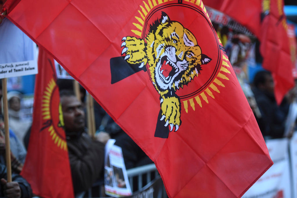Aufnahme einer roten Fahne mit einem Tigerkopf in der Mitte.
