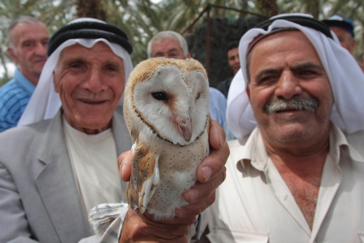 Two farmers with barn owls in Palestine