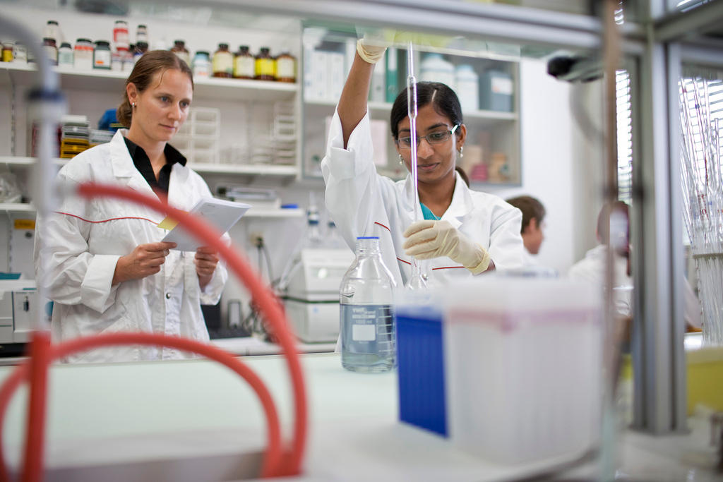 lab