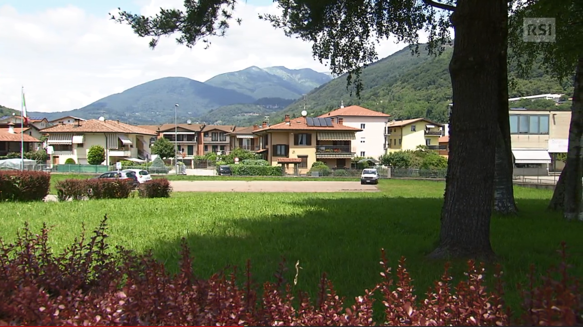 Primo piano di un prato; in lontananza, piccola area asfaltata (con un auto parcheggiata) e case