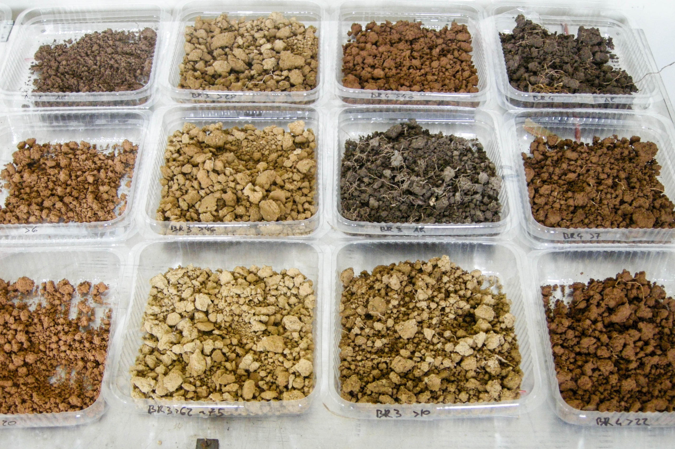 Different types of soil.