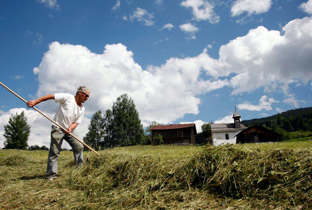 Paesaggio di campagna in giornata soleggiata, con uomo che fa il fieno e, in lontananza, un piccolo villaggio